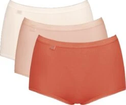 Sloggi Sloggi Basic+ Maxi C3P Dames Onderbroek - Maat 40 38 Sloggi Sloggi Basic+ Maxi C3P Dames Onderbroek - Maat 40 -Triumph Winkel 1200x1000