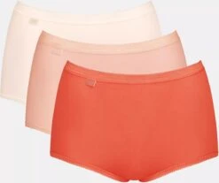 Sloggi Sloggi Basic+ Maxi C3P Dames Onderbroek - Maat 48