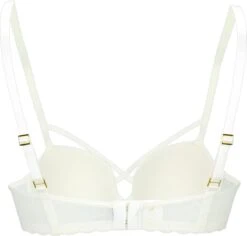Sapph Fabulous Padded Bra 25 Sapph Fabulous Padded Bra -Triumph Winkel 1200x1145 1
