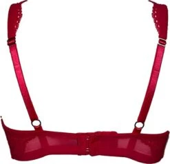 After Eden D-Cup & Up Denise Beha - Maat 95F -Triumph Winkel 1200x1156