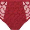 Fantasie Ana Brief Dames Onderbroek - Maat S 2 Fantasie Ana Brief Dames Onderbroek - Maat S -Triumph Winkel 1200x676 2