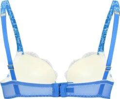 Sapph Cupra Push-up BH 19 Sapph Cupra Push-up BH -Triumph Winkel 1200x984