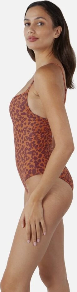 Barts Des Sculpting One Piece Roze Dames Badpak - Maat 36 -Triumph Winkel 317x1200