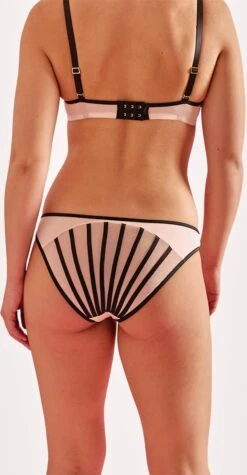 Sapph Ceres Brief -Triumph Winkel 624x1200