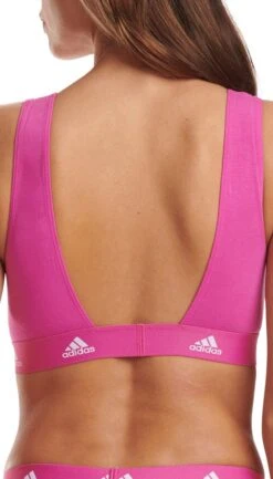 Triumph Winkel -Triumph Winkel 685x1200