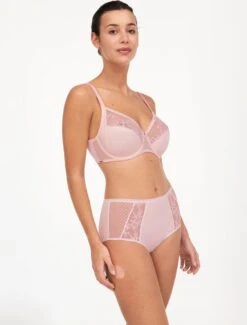 Chantelle Instants Beugel BH Roze 90 E 13 Chantelle Instants Beugel BH Roze 90 E -Triumph Winkel 912x1200 1