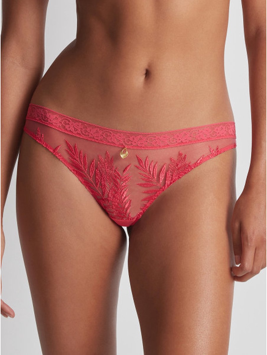 Triumph Winkel -Triumph Winkel